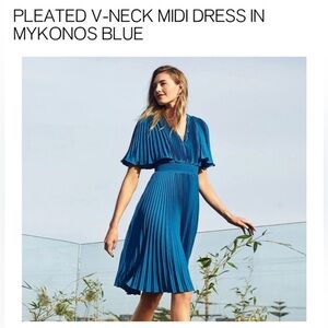 Express Gorgeous blue dress